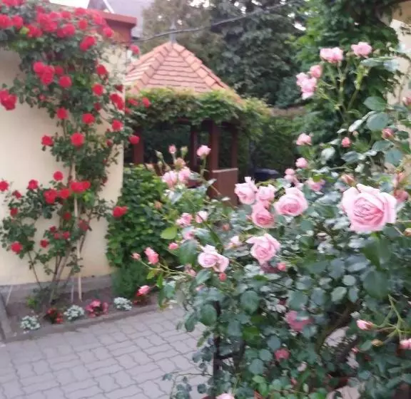 Fotos del hotel Judit Vendégház:  14