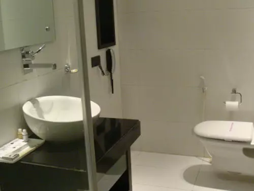 Fotos del hotel Shreyans Inn:  5