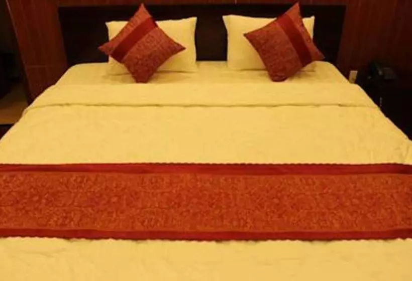 Fotos del hotel Cau Rong Hotel Danang:  25