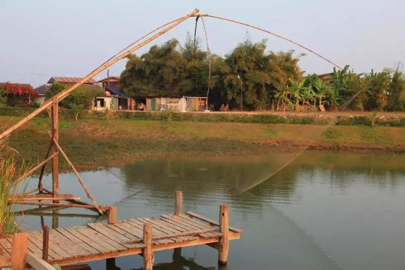 Fotos del hotel The Ricefields:  14