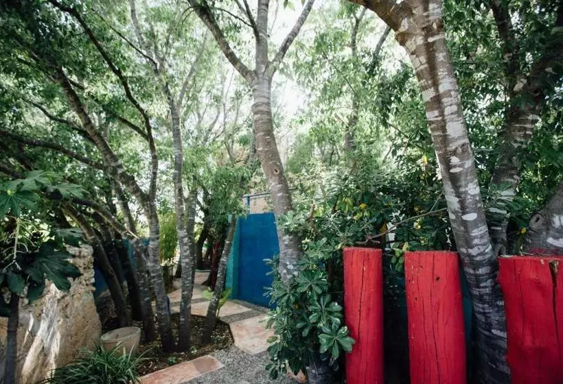 Fotos del hotel Peralta  Adults Only:  1