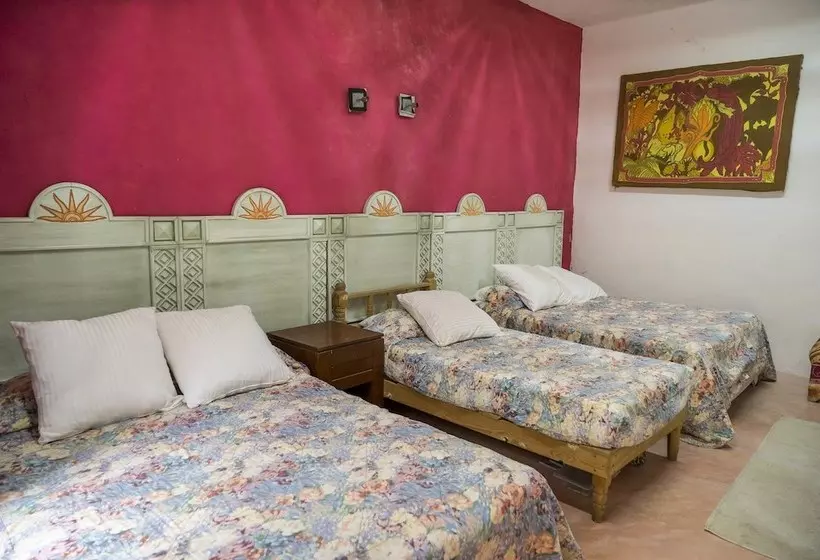 Fotos del hotel Tulum Iguanas:  12