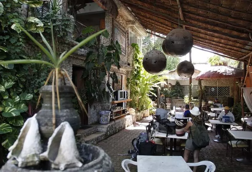 Fotos del hotel Tulum Iguanas:  8