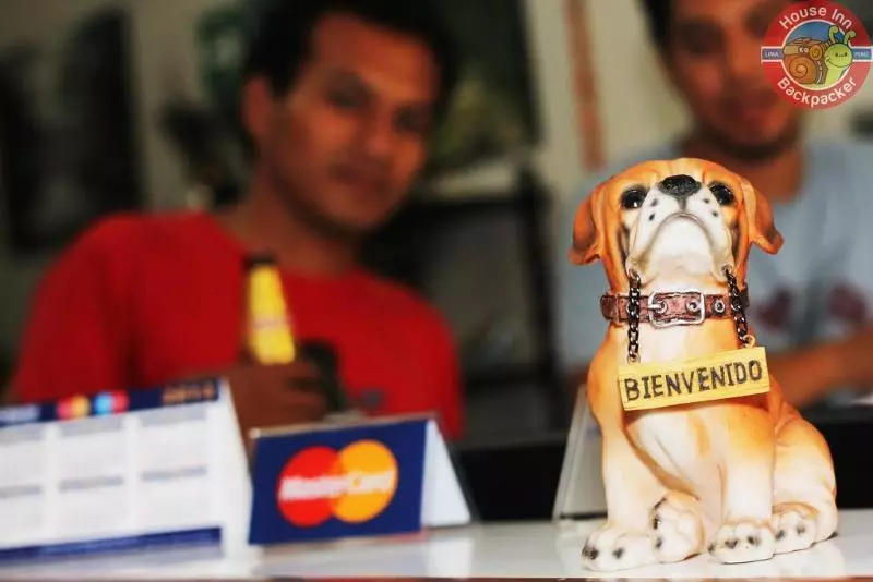 Fotos del hotel House Inn Backpackers:  9