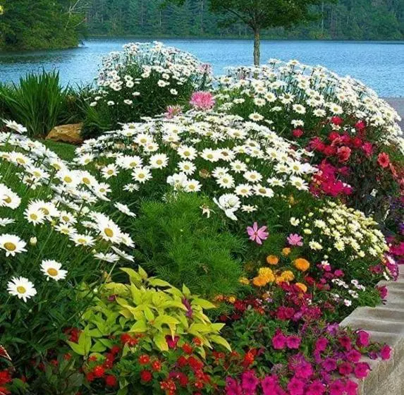 Fotos del hotel Apart Las Naciones:  3