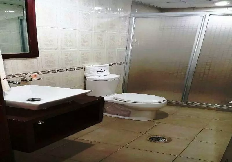 Fotos del hotel Ambassador:  11