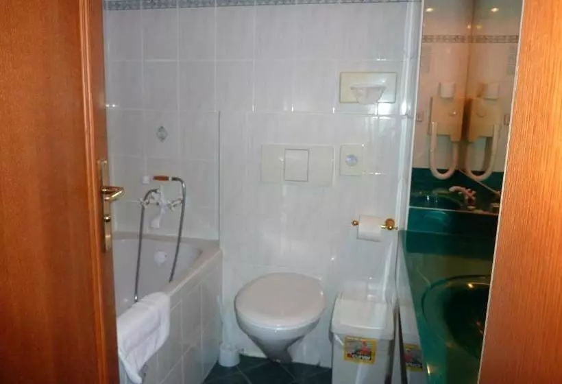 Fotos del hotel Vysehrad:  8