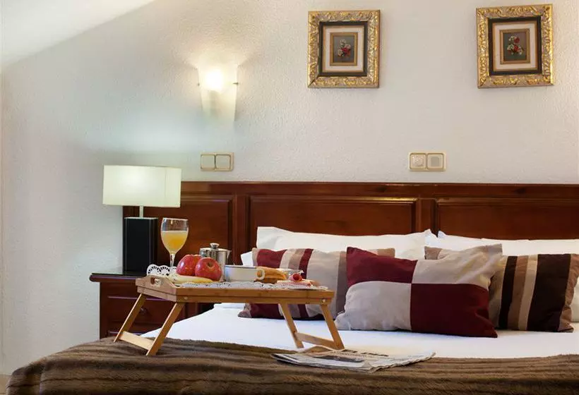 Fotos del hotel Duque de Lerma:  2