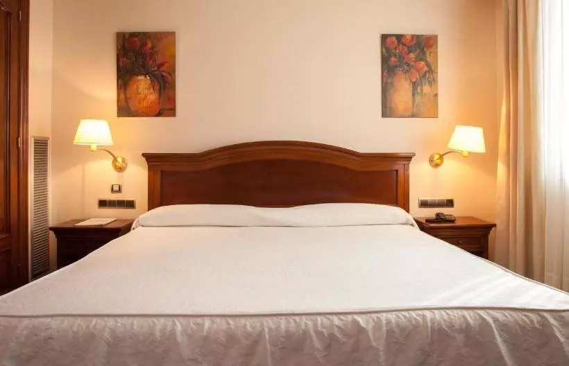 Fotos del hotel Villa De Almazan:  10