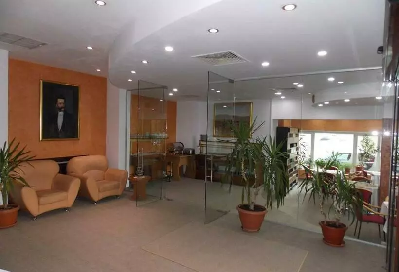 Fotos del hotel Johann Strauss:  3