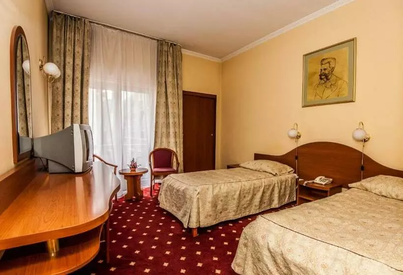 Fotos del hotel Johann Strauss:  14