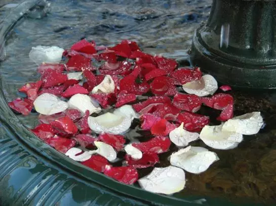 Fotos del hotel Europa Royale Riga:  7