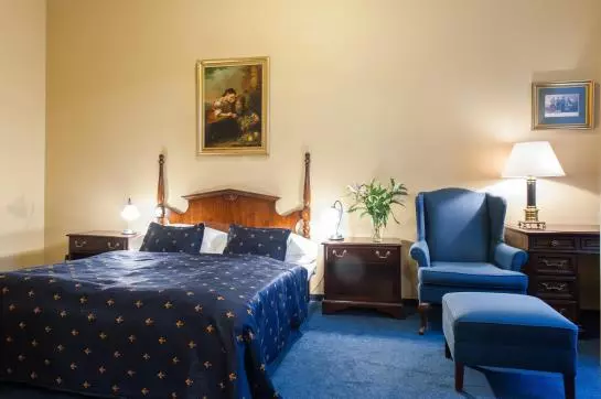 Fotos del hotel Bohemia Plaza:  12