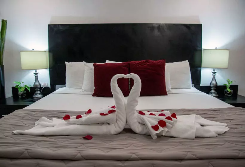 Fotos del hotel Blue Parrot Fifth Avenue:  24