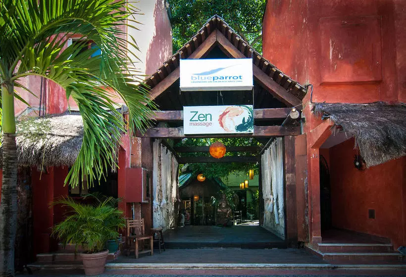 Fotos del hotel Blue Parrot Fifth Avenue:  8