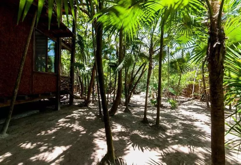 Fotos del hotel I Scream House:  15