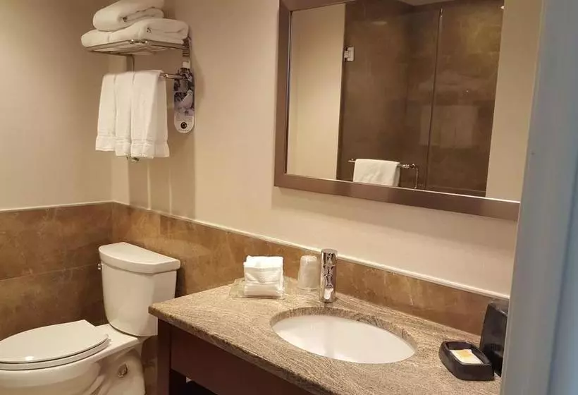 Fotos del hotel Holiday Inn  Long Island City  Manhattan View, An Ihg:  5