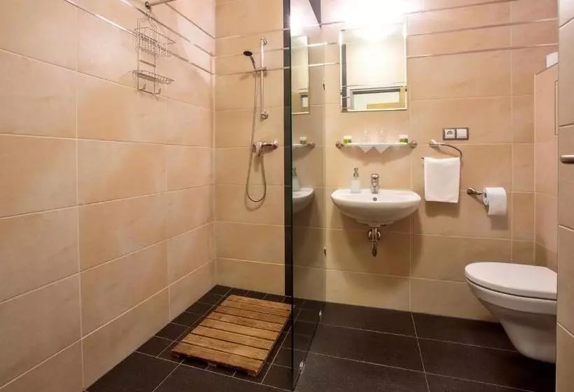 Fotos del hotel Lions Plzen:  10