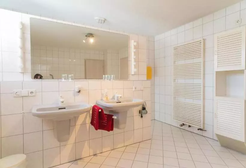 Fotos del hotel Hirschengarten:  12