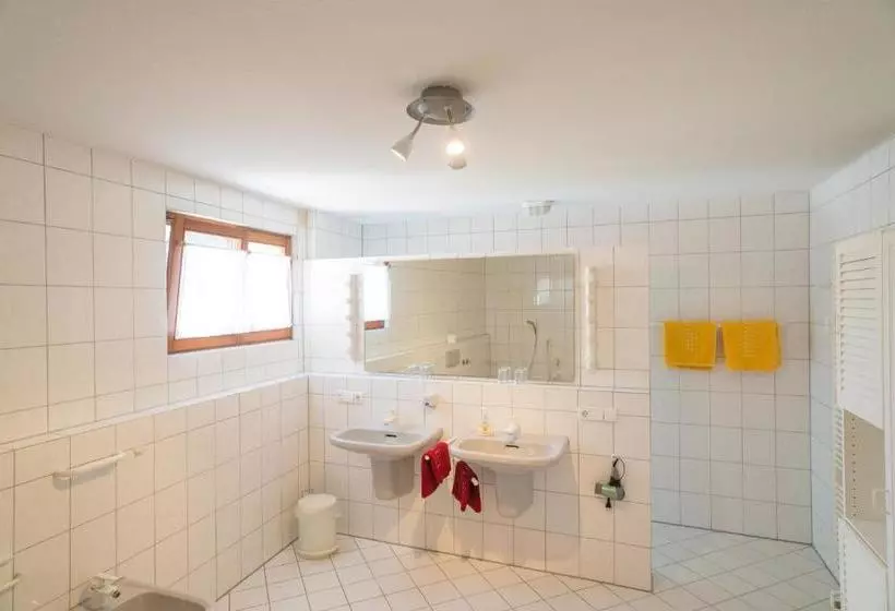 Fotos del hotel Hirschengarten:  13