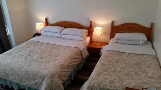 Fotos del hotel Victoria:  7