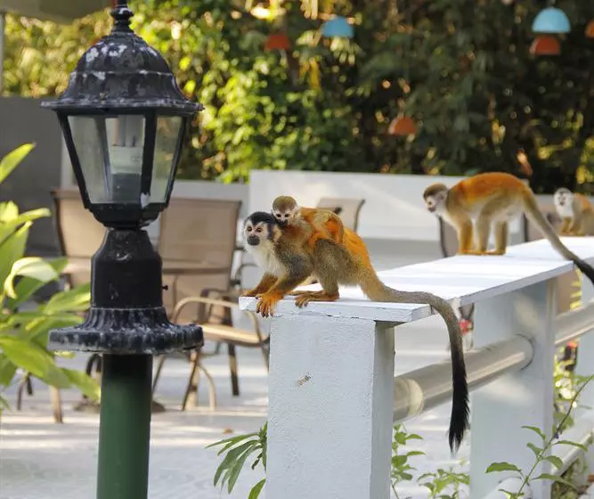 Fotos del hotel Mandarina:  24