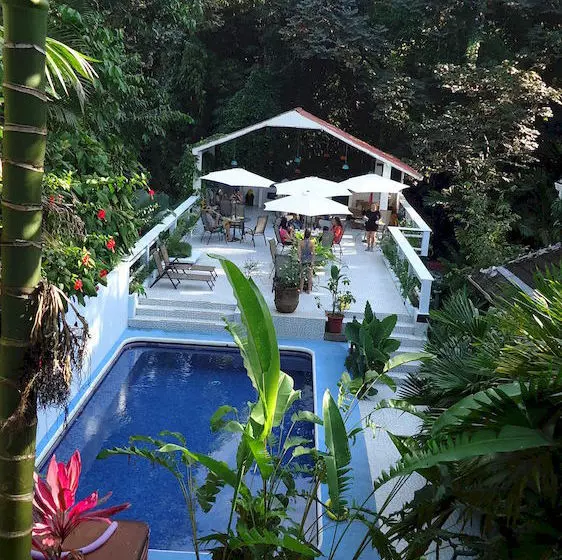 Fotos del hotel Mandarina:  13