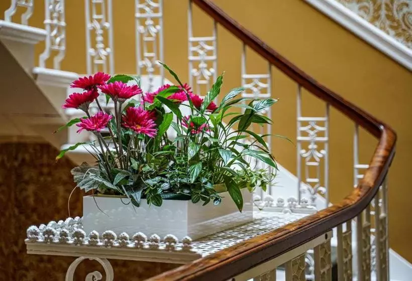 Fotos del hotel Adria House:  5