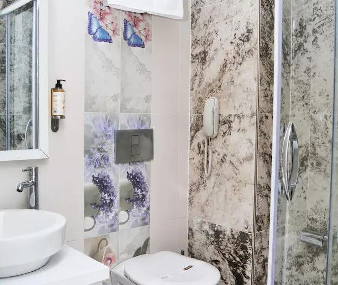 Fotos del hotel Niss Business:  8