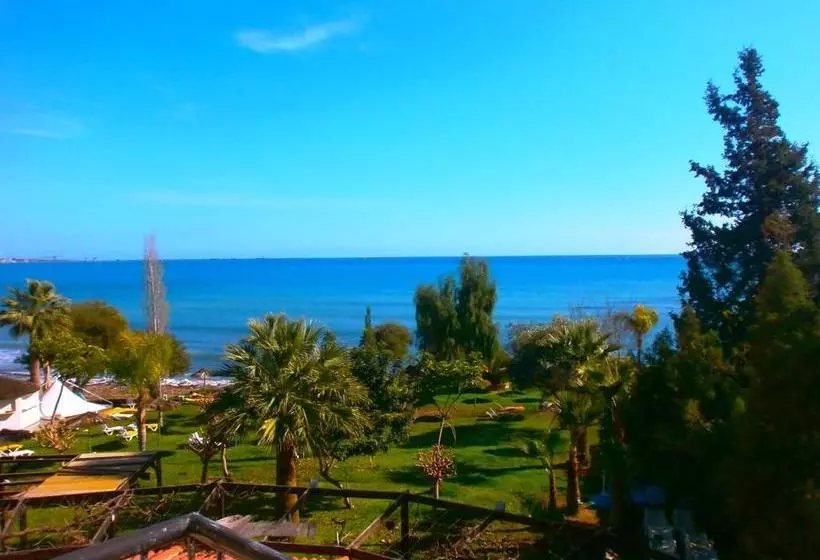 Fotos del hotel Andreas & Melanie Beach:  4