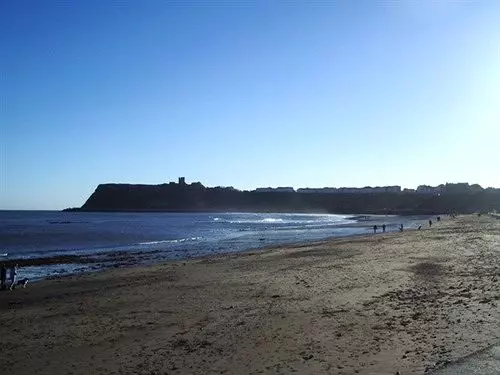 Fotos del hotel The Albert:  7