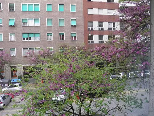 Fotos del hotel Guesthouse B&b Piazza Istria:  5