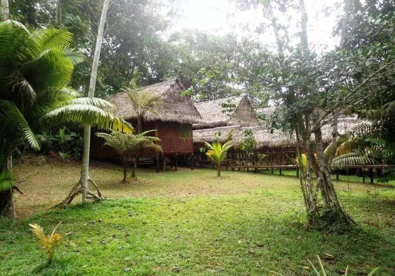Fotos del hotel Amazon Eco Tours & Lodge:  13
