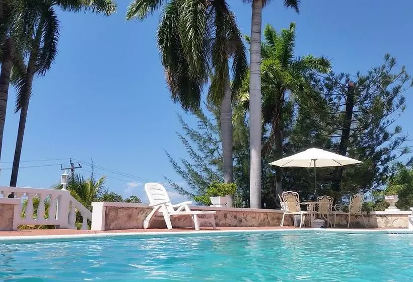 Fotos del hotel A Piece Of Paradise Montego Bay:  15