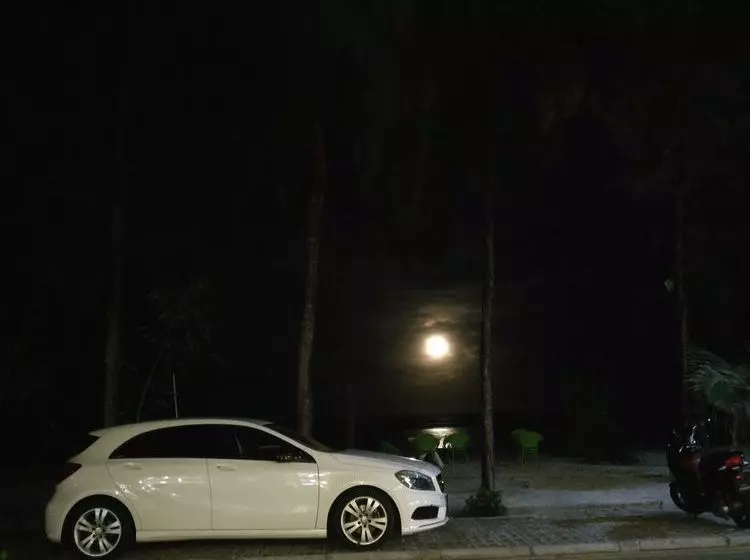Fotos del hotel Simry Beachside Maldives:  13