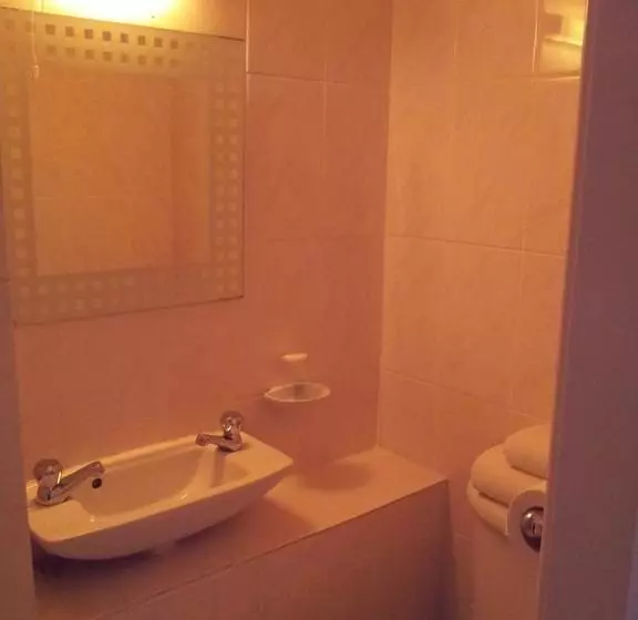 Fotos del hotel Brook:  15