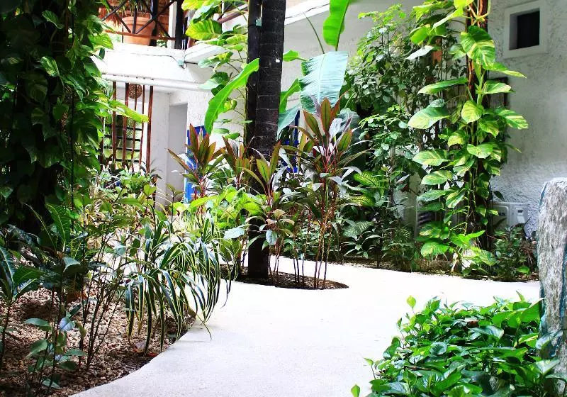 Fotos del hotel Luna Maya:  12