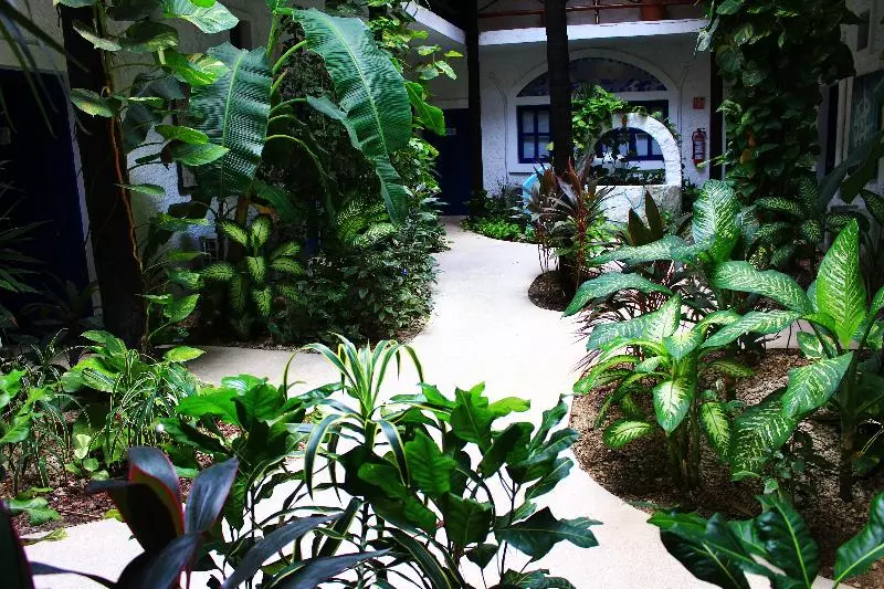 Fotos del hotel Luna Maya:  14