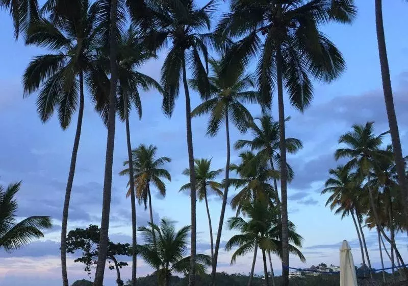 Fotos del hotel Bahia Las Ballenas:  6