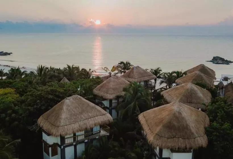 Fotos del hotel Akkuun Tulum - Adults Only:  4