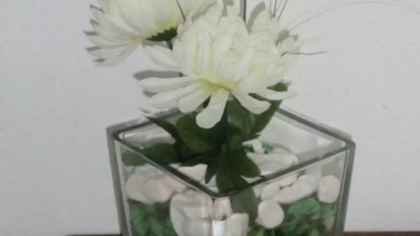 Fotos del hotel Varandas De Alter Hotel & Spa:  11