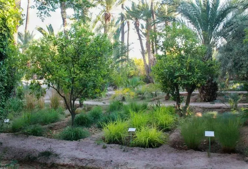 Fotos del hotel Jnane Tamsna:  12