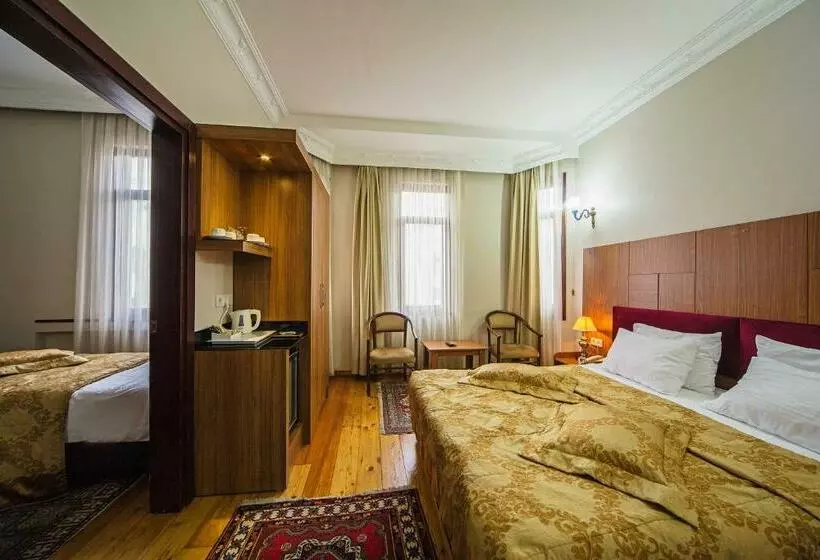 Fotos del hotel Hippodrome:  8