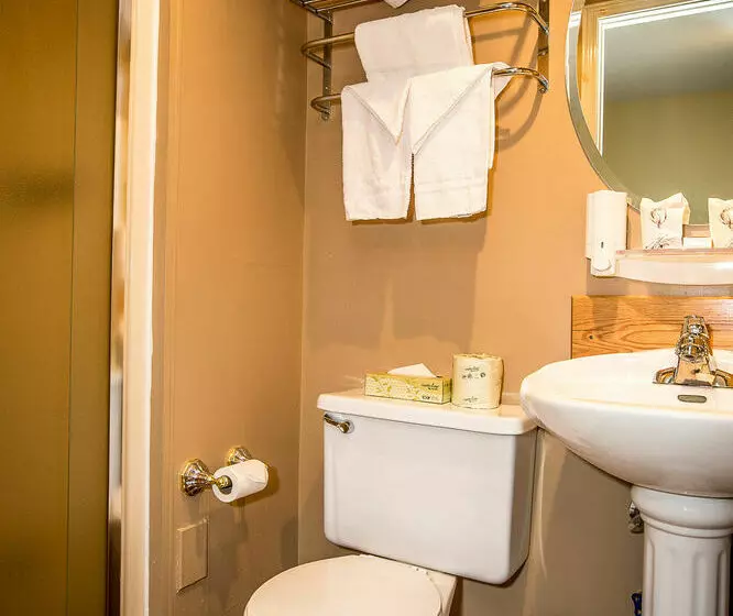 Fotos del hotel Auberge Le Jardin d'Antoine:  9