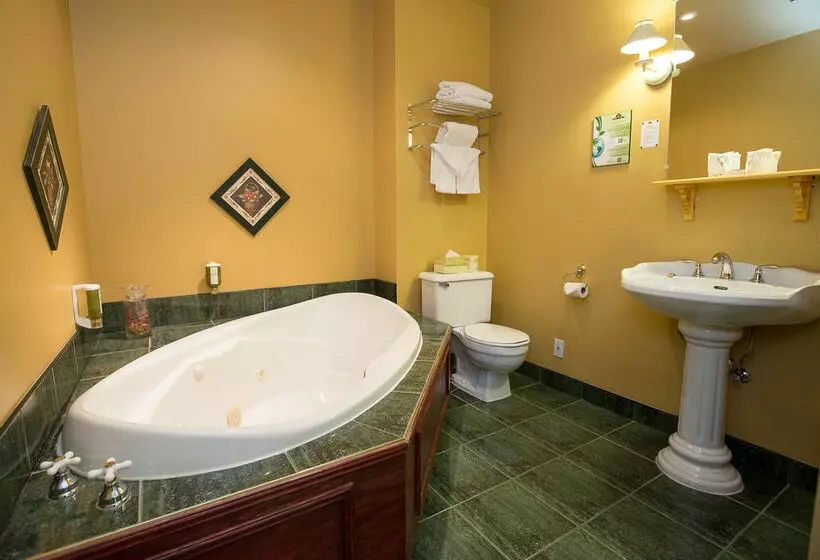 Fotos del hotel Auberge Le Jardin d'Antoine:  18