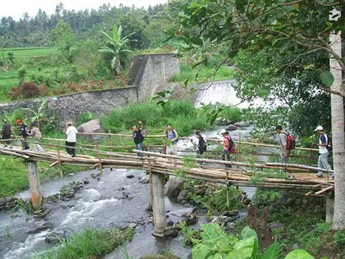 Fotos del hotel Alam Asmara Dive Resort:  15