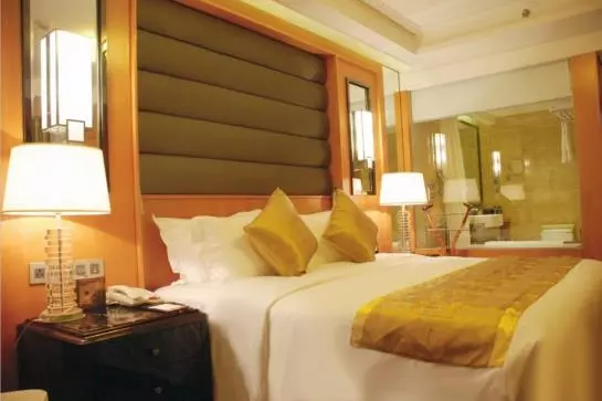 Fotos del hotel Xinyuan:  6