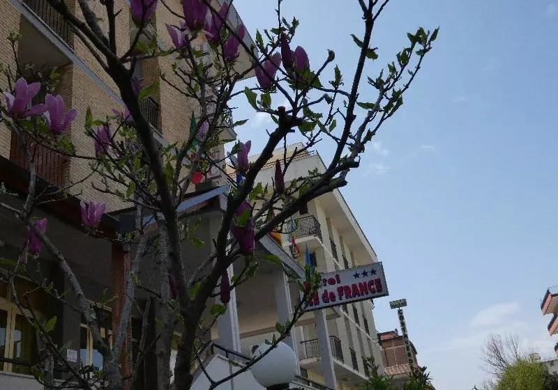 Fotos del hotel Ile De France Cesenatico:  9