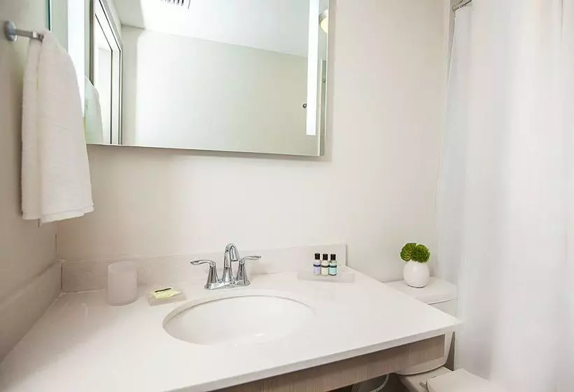 Fotos del hotel Habitat Miami:  14