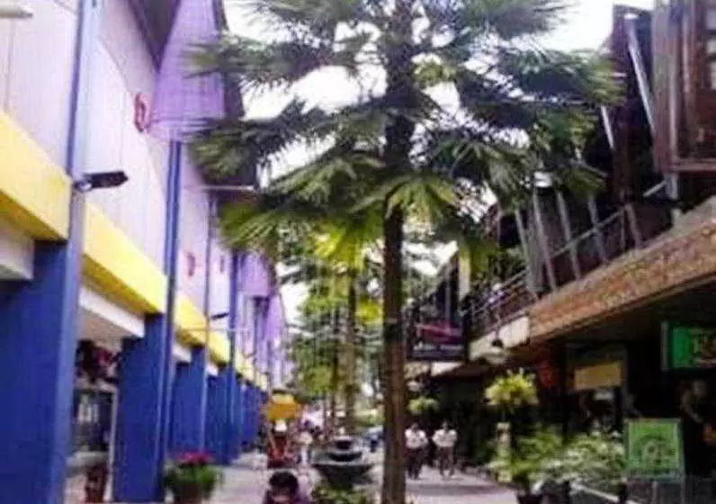 Fotos del hotel Naval:  3